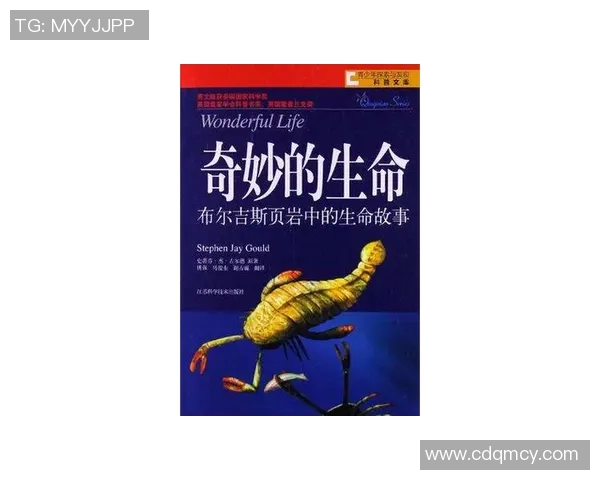 汉字演变与足球明星的奇妙交汇探索与启示